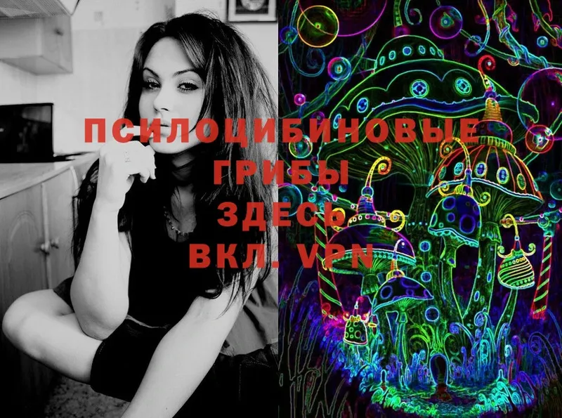 Галлюциногенные грибы Magic Shrooms  Алатырь 